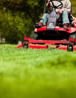 Lawn Care Services